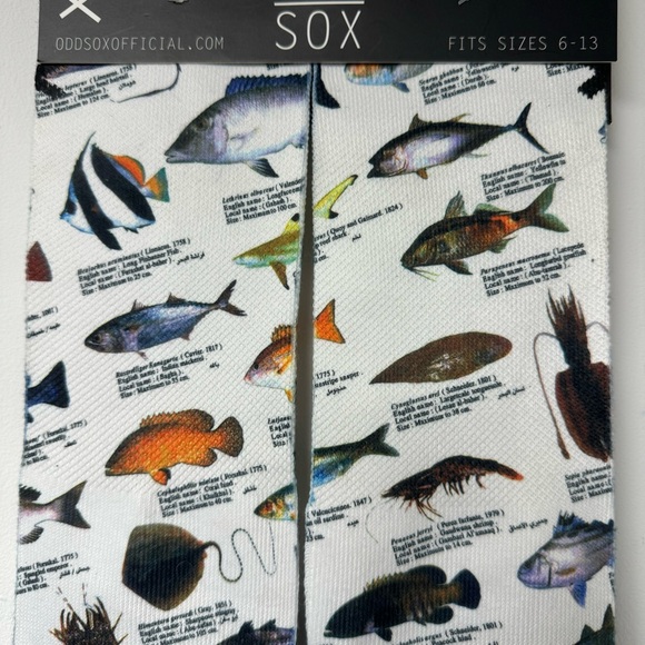 ODD SOX unisex salt water fish novelty socks - Picture 3 of 7